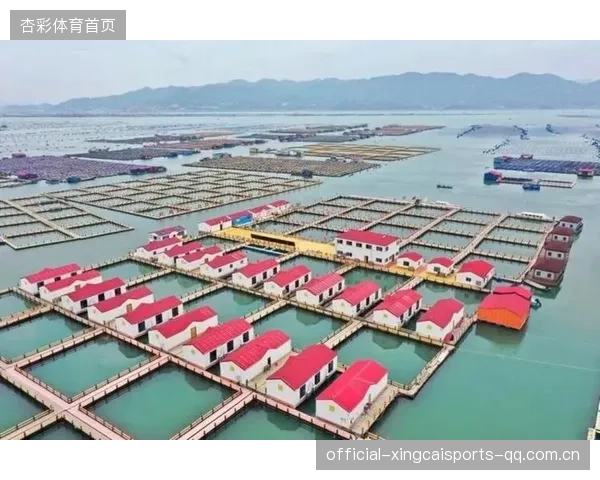 海港四比二山东泰山：从“海上之城”到“世界级商业中心”的转型之旅